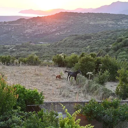 Appartement Locazione Turistica Serra&walz *